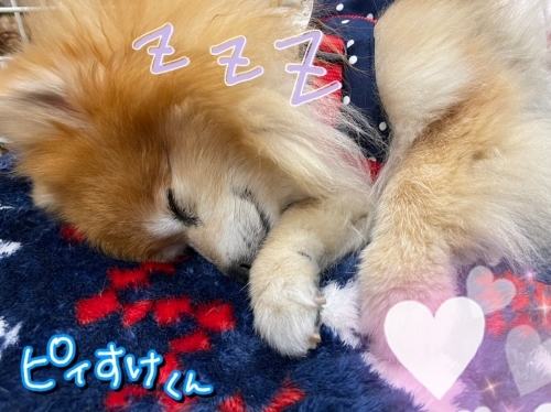 寒さに負けず!_f0357682_09302628.jpg