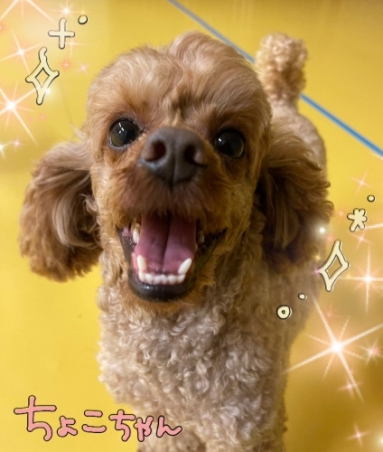 寒さに負けず!_f0357682_15080068.jpg