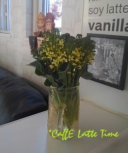 遅かったブロッコリーの収穫 Caffe Latte Time 遅かったブロッコリーの収穫 Caffe Latte Time
