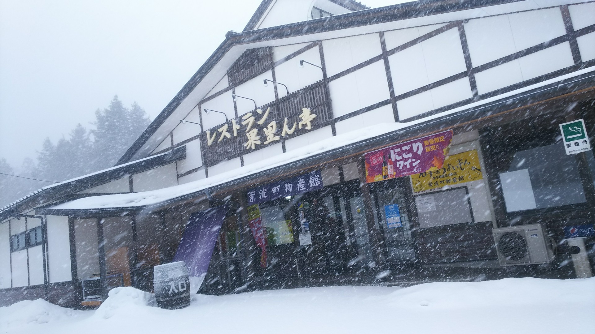⛄吹雪の紫波町⛄_f0089297_10554386.jpg