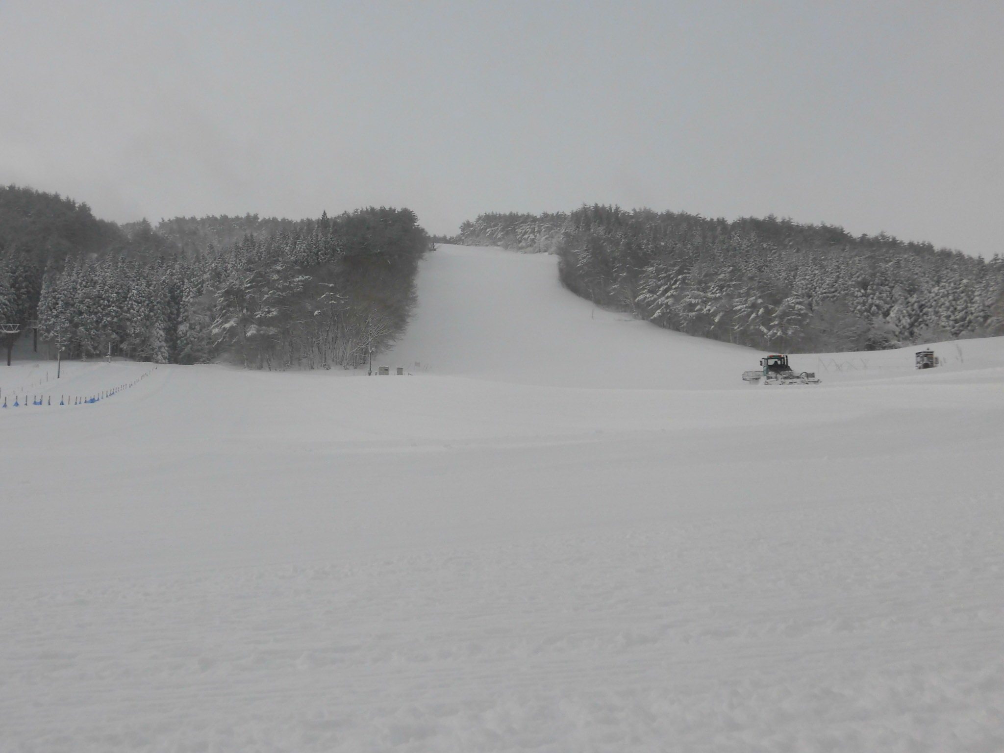 令和3年2月17日(水)天気/曇 気温/-5℃ 風/無 積雪/90㎝ 滑走可能 _e0306207_08451341.jpg
