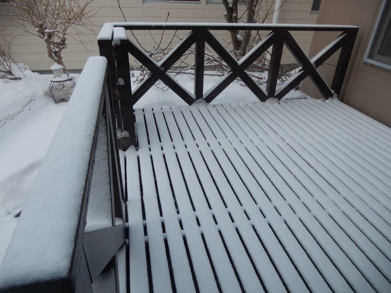 暴風雪はきませんでしたが真冬日が戻ってきました_c0025115_20324603.jpg
