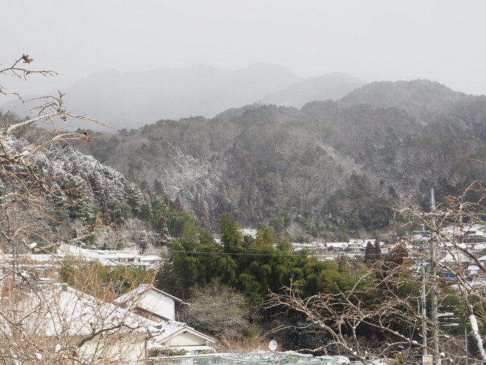 寒山方面とその後の雪_c0116915_23045952.jpg