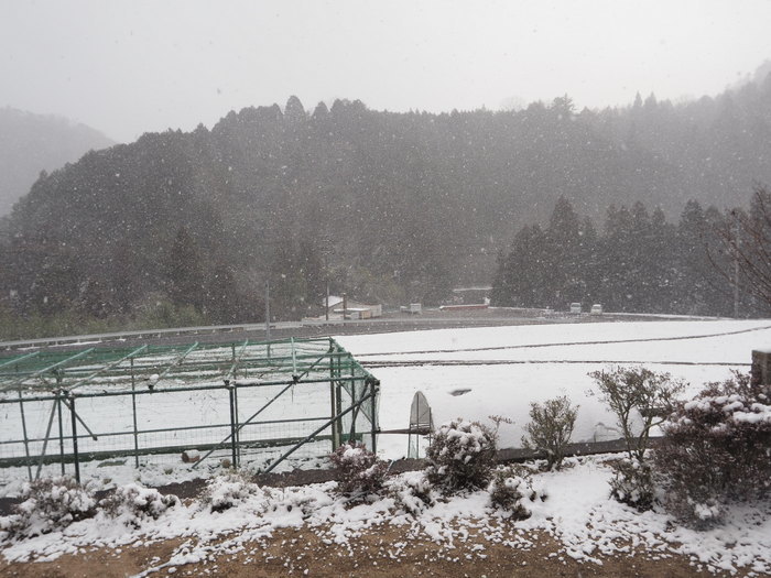寒山方面とその後の雪_c0116915_23063940.jpg