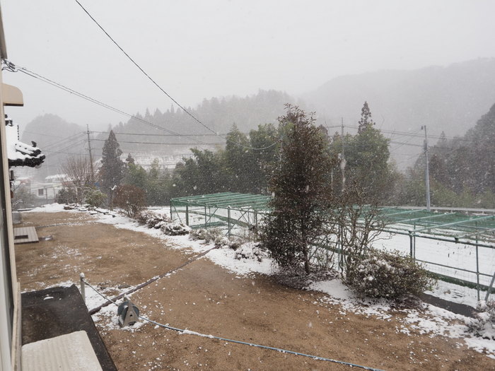 寒山方面とその後の雪_c0116915_23070711.jpg