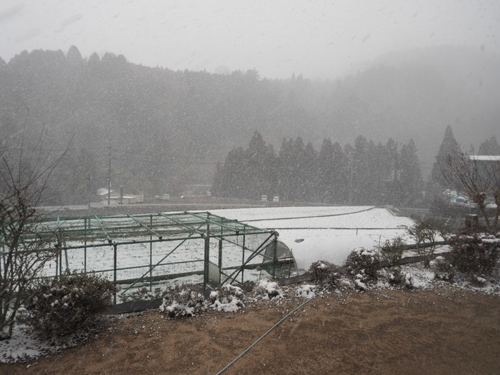 寒山方面とその後の雪_c0116915_23080888.jpg