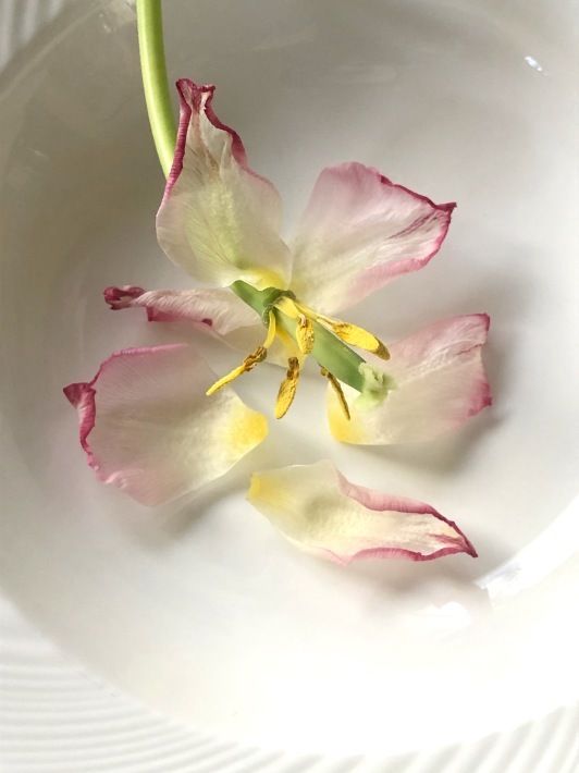 ハート_a0395626_01274660.jpeg