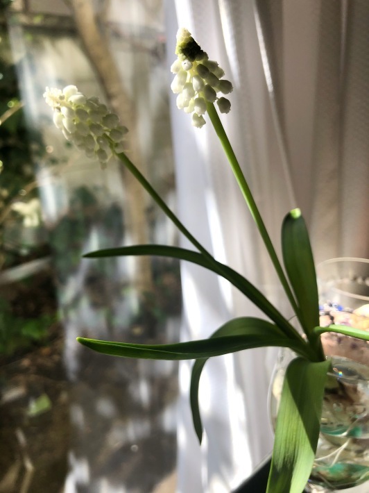 ハート_a0395626_01282987.jpeg