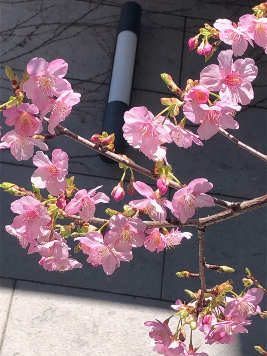 ハート_a0395626_01284322.jpeg