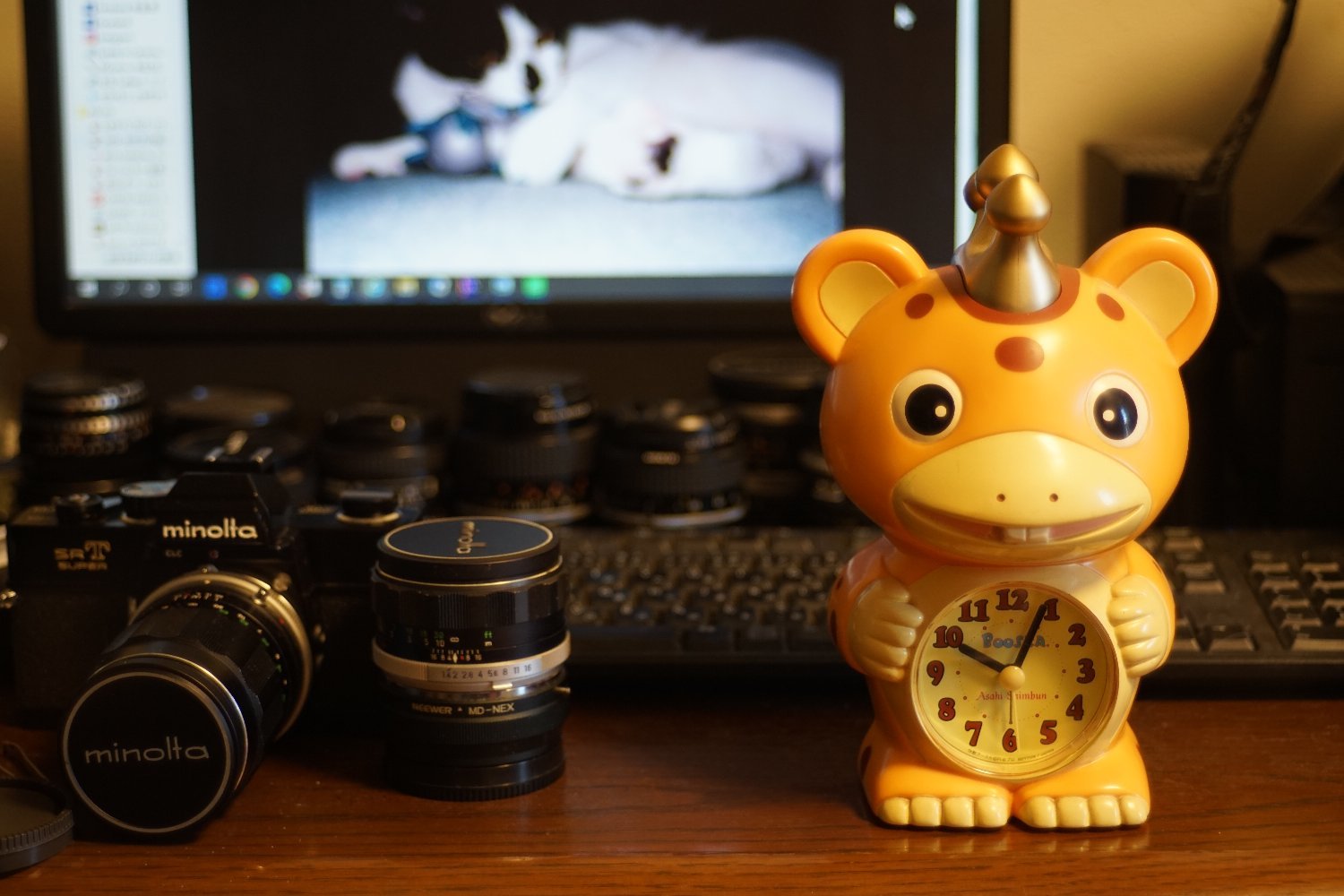 Zoom-Hexanon AR 35-70mm F3.5 で いろいろ : nakajima akira's photobook