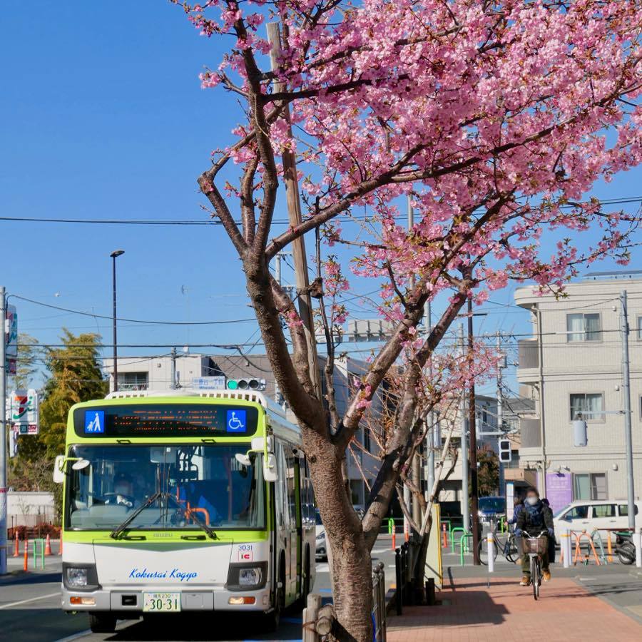 黄色い電車に乗せて