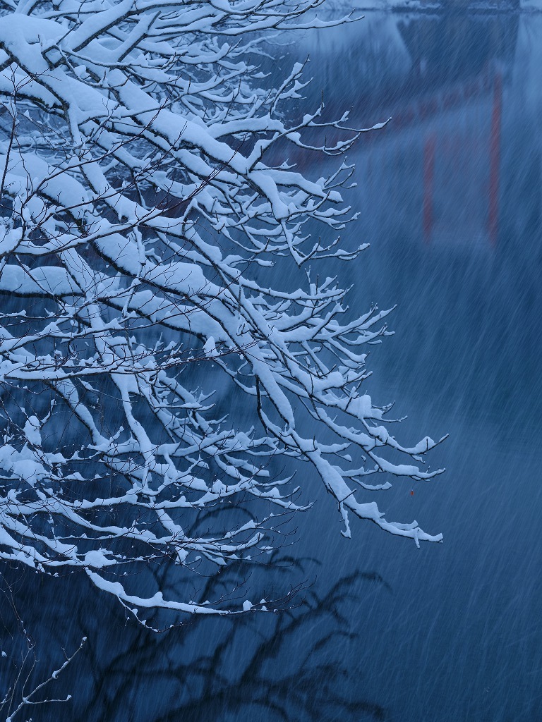 五箇山 雪の朝 by FUJIFILM GFX 50S_f0050534_07510592.jpg