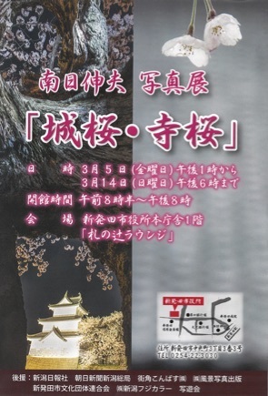 南日伸夫「城桜・寺桜」（新潟）_c0142549_18511935.jpg