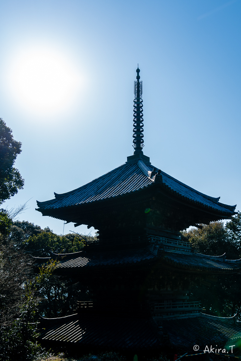 安土城跡 -2-_f0152550_17172328.jpg