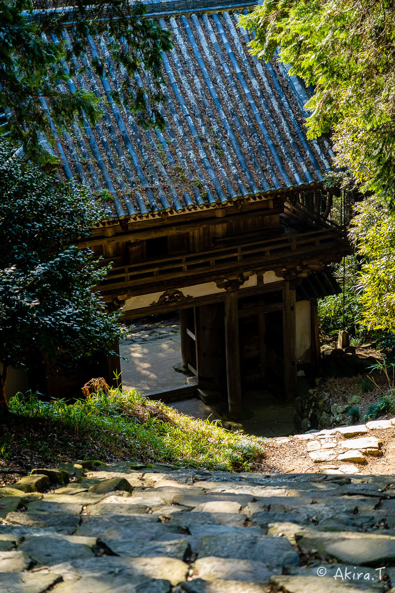 安土城跡 -2-_f0152550_17181116.jpg