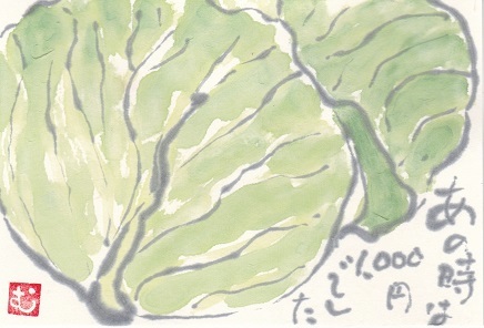 キャベツ あの時は1000円でした ムッチャンの絵手紙日記