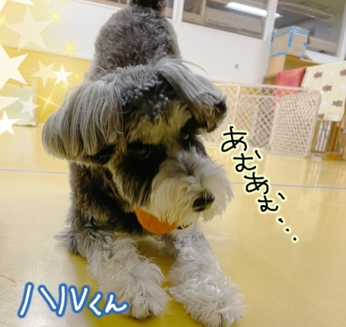 寒さに負けず!_f0357682_13014942.jpg