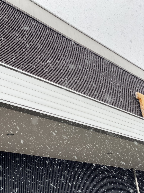 大家族で行く ディズニー日記