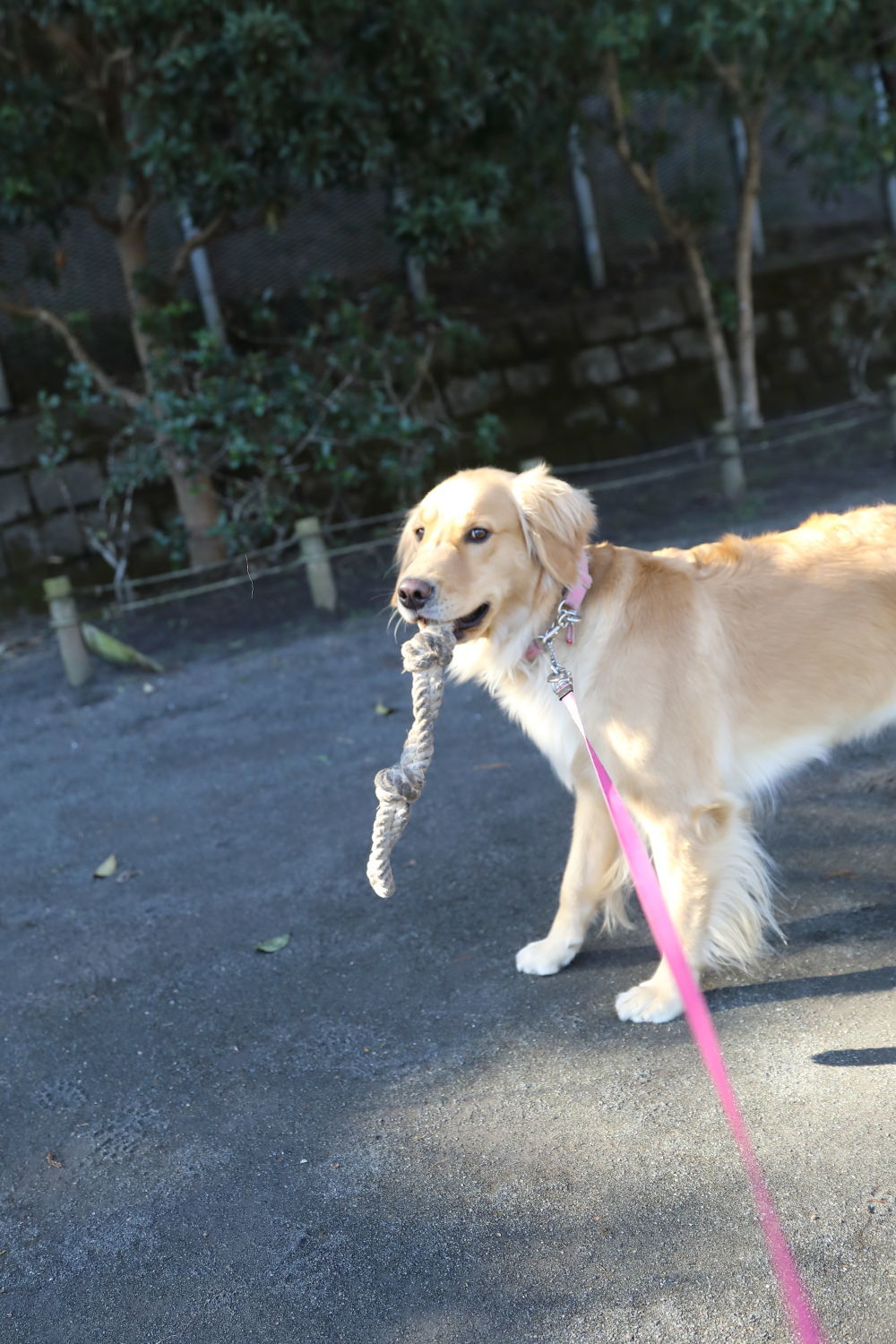 風の強い日_b0275998_14045960.jpg