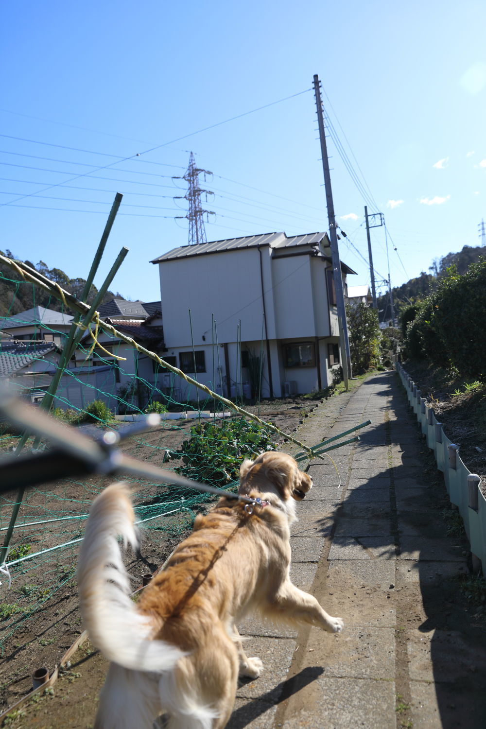 風の強い日_b0275998_14055599.jpg