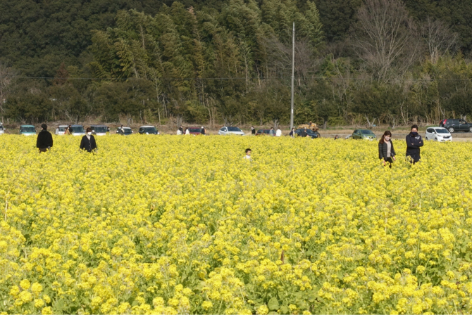春よ来い来い 笠岡ベイファームへ。_e0319202_12263144.jpg
