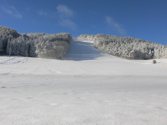 令和3年2月18日(木)天気/晴 気温/-7℃ 風/無 積雪/95㎝ 滑走可能 _e0306207_08565346.jpg