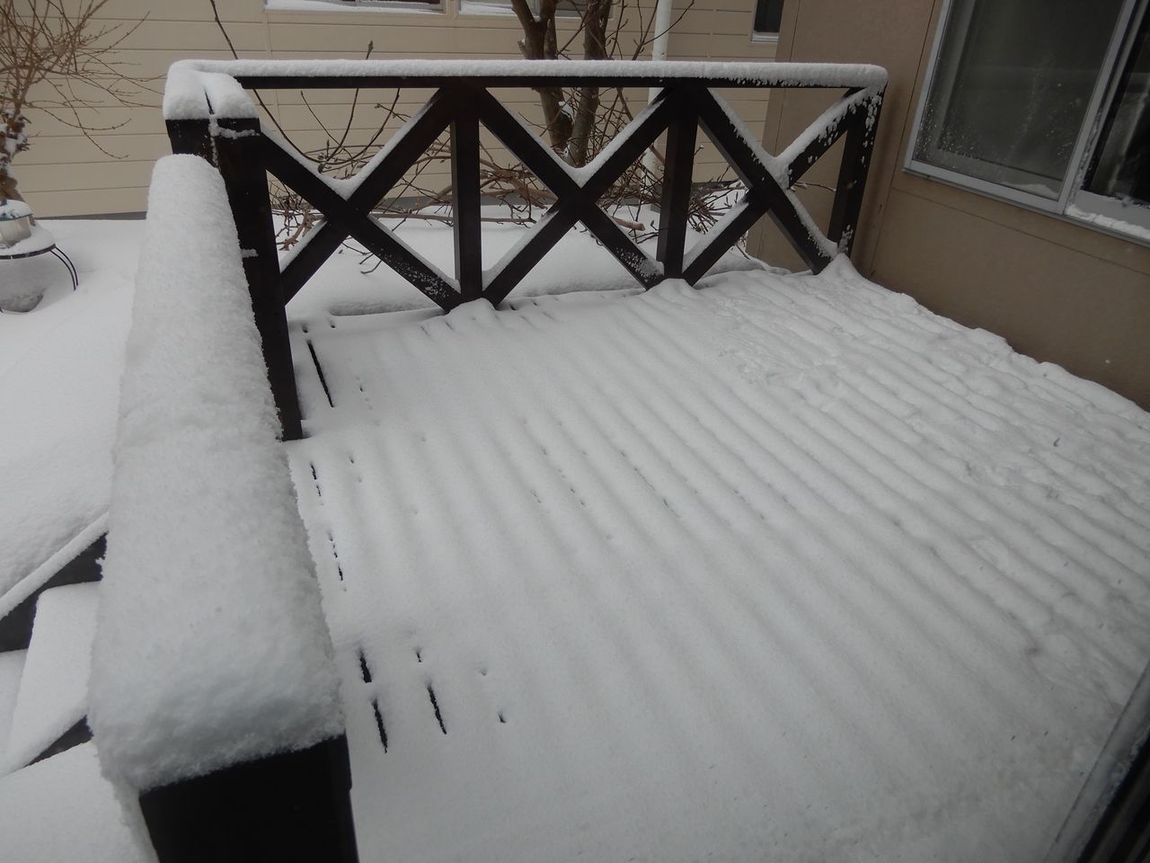 真冬日も覚悟していたものの意外と暖かく最高気温がプラス2.3℃_c0025115_20442707.jpg