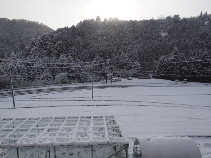 今朝も雪景色_c0116915_23122559.jpg