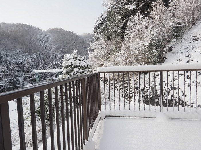 今朝も雪景色_c0116915_23124759.jpg