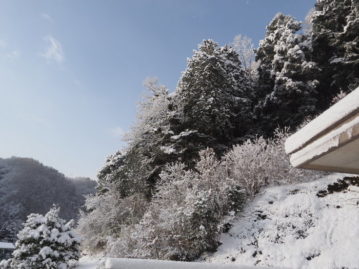 今朝も雪景色_c0116915_23133123.jpg