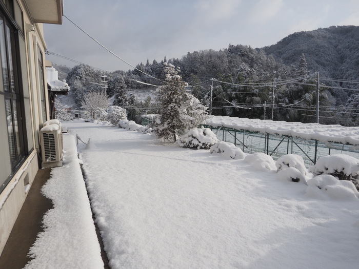 庭などの雪景色_c0116915_23231845.jpg