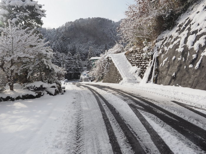庭などの雪景色_c0116915_23241858.jpg