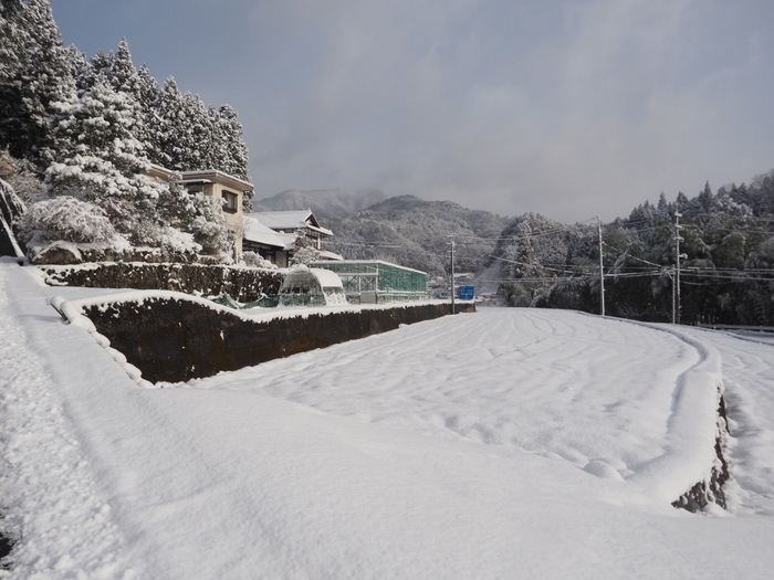 庭などの雪景色_c0116915_23243881.jpg