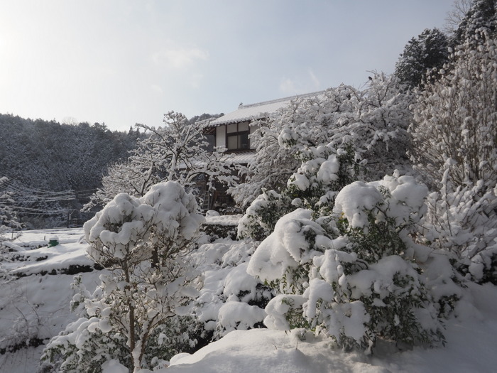 庭などの雪景色_c0116915_23252799.jpg