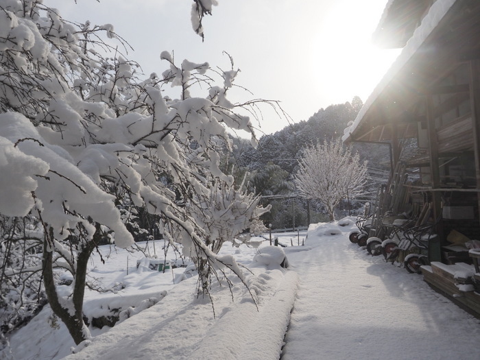 庭などの雪景色_c0116915_23254271.jpg
