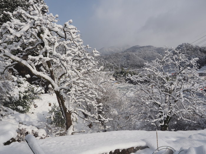 庭などの雪景色_c0116915_23264611.jpg