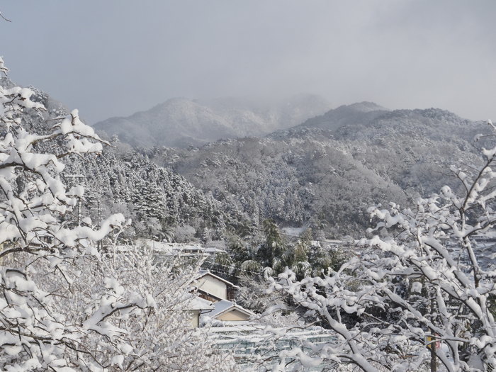 庭などの雪景色_c0116915_23271570.jpg