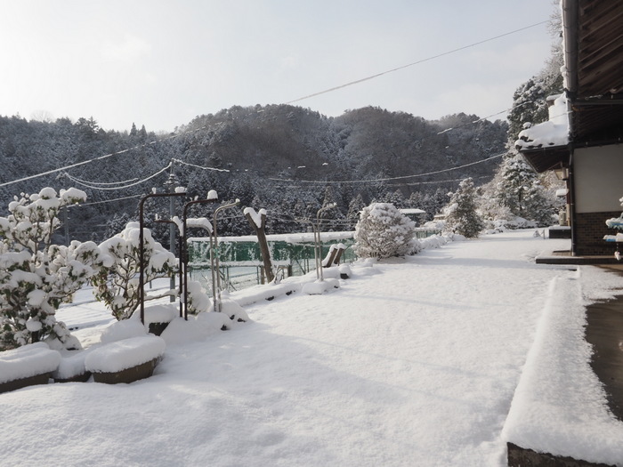 庭などの雪景色_c0116915_23273642.jpg