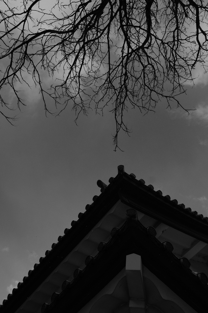 雪見散策 金沢_f0050534_21435504.jpg