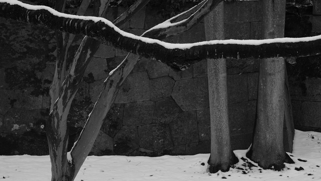 雪見散策 金沢_f0050534_21435660.jpg