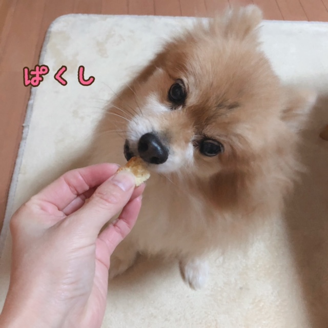 今年もごちそうさま(⋈◍>◡<◍)。✧♡_b0208246_09504840.jpg