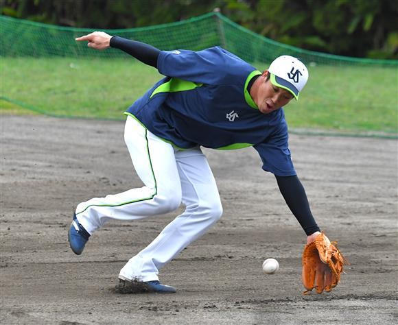素敵すぎの応援歌 ファン歴48年 神宮の杜 素敵すぎの応援歌 ファン歴48年 神宮の杜