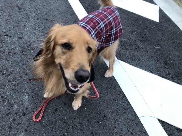 かわいい幸せ。_a0394574_22460710.jpeg