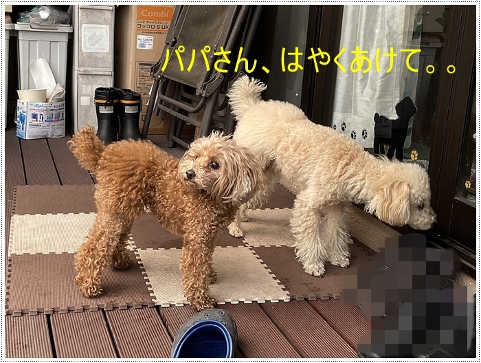 雪の舞う庭でも、そんなの関係ねぇ!!_b0175688_19340023.jpg