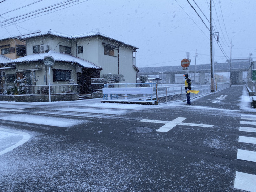 昨日は 大変な雪の朝でしたねぇ みつい 禮の演歌部屋 昨日は 大変な雪の朝でしたねぇ みつい 禮の演歌部屋