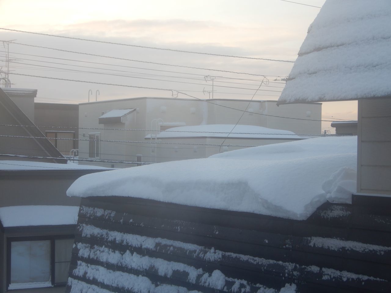 久しぶりに本格的積雪の朝_c0025115_20245357.jpg