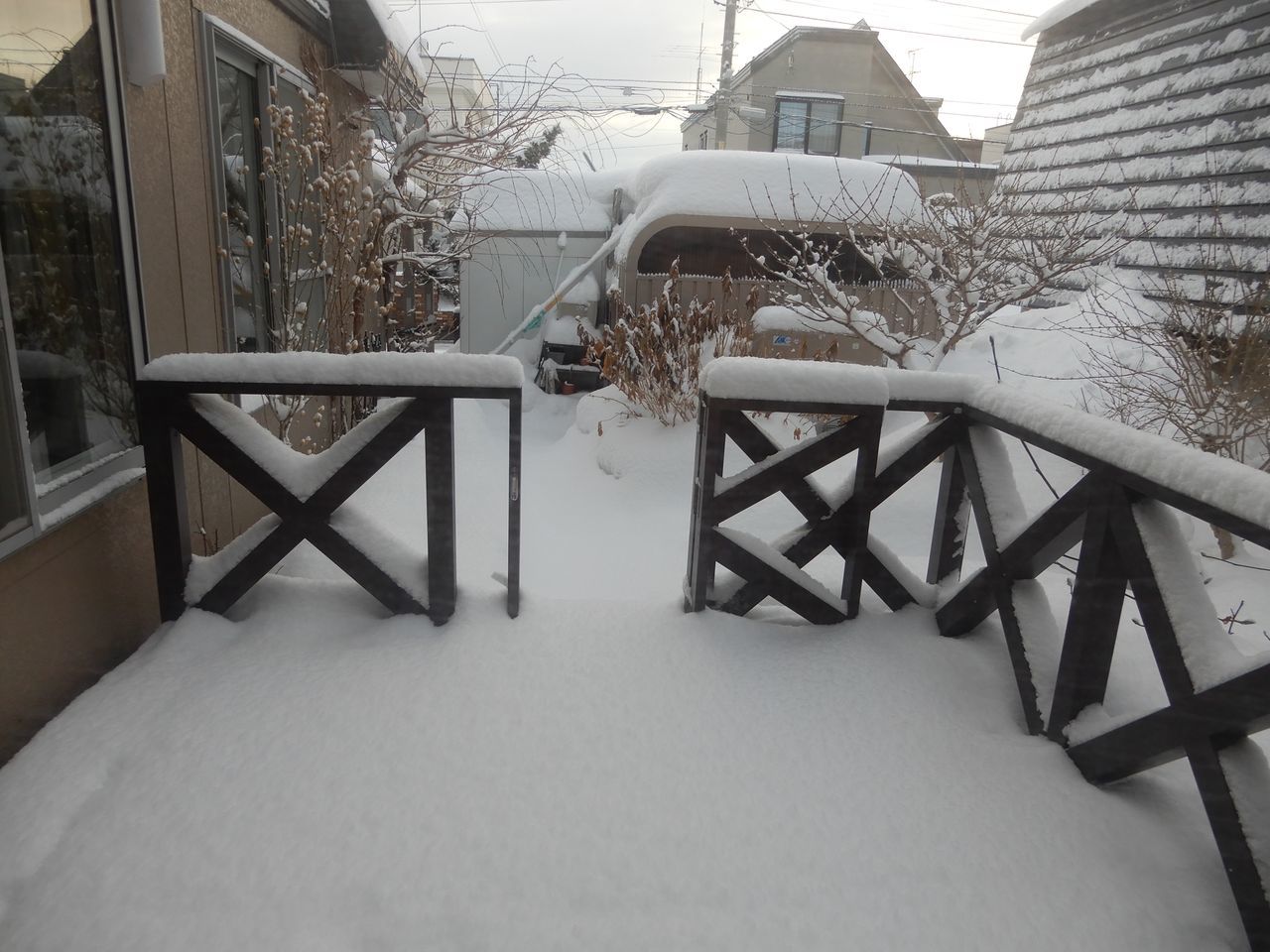 久しぶりに本格的積雪の朝_c0025115_20321154.jpg
