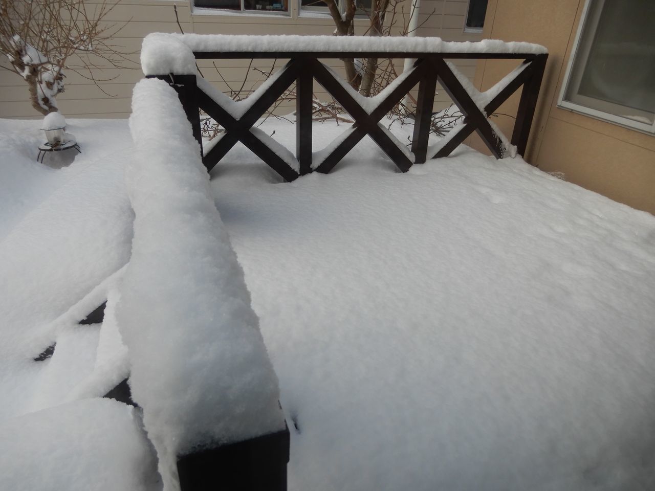 久しぶりに本格的積雪の朝_c0025115_20321708.jpg