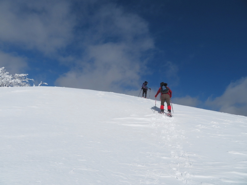 雪原が美しい 大日ケ岳 (1,708.9M) 登頂 編_d0170615_09200001.jpg