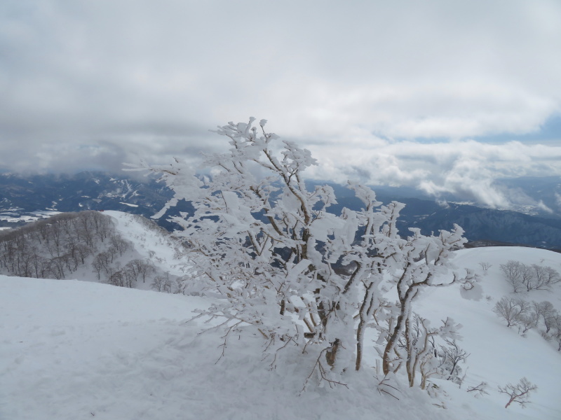 雪原が美しい 大日ケ岳 (1,708.9M) 登頂 編_d0170615_09202882.jpg